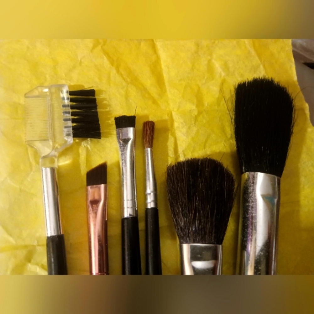 Brush Set NEW
